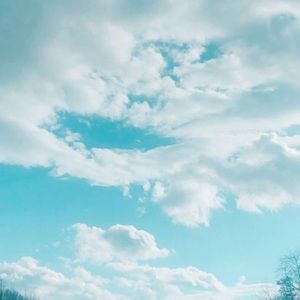 Meet your Posher, Allie